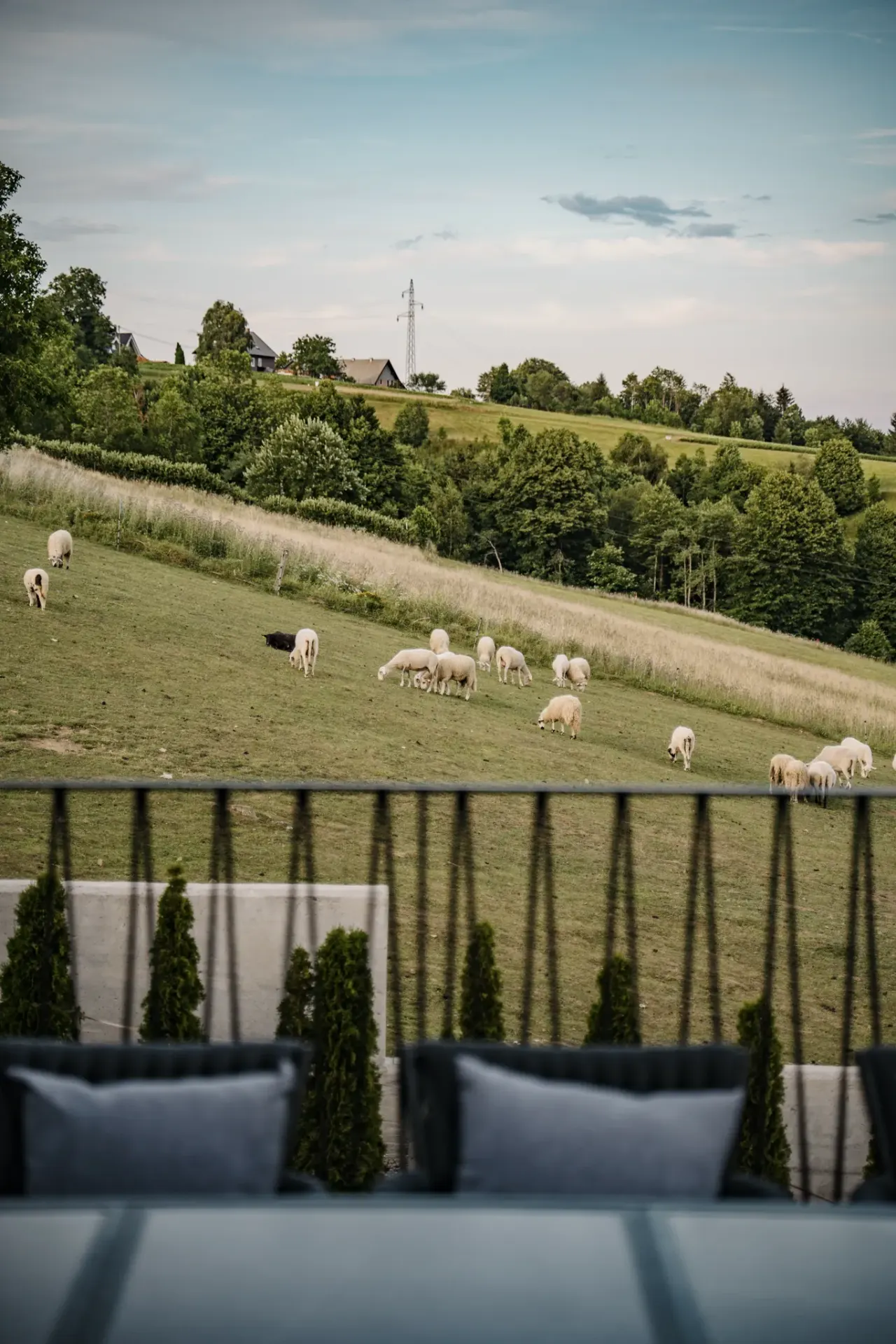 Pastoral meadow and countryside softening into dusk